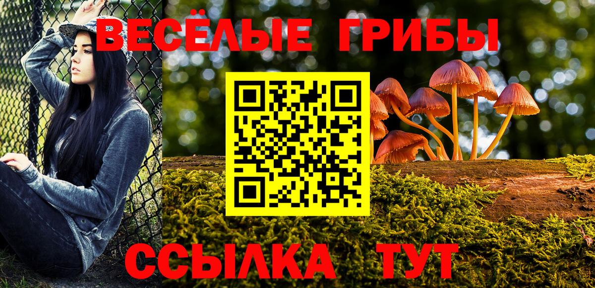 Асино  Псилоцибиновые грибы ЛСД  Вход с VPN 