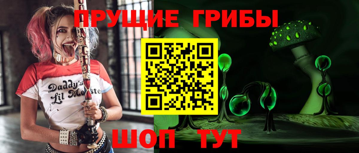 Псилоцибиновые грибы мицелий Асино